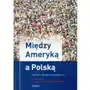 Nomos Między ameryką a polską Sklep on-line