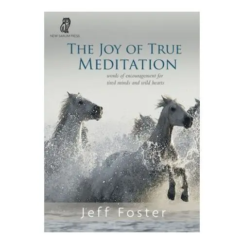 Joy of True Meditation