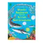 Nosy crow ltd National trust: sharks, seahorses and other british sea creatures Sklep on-line