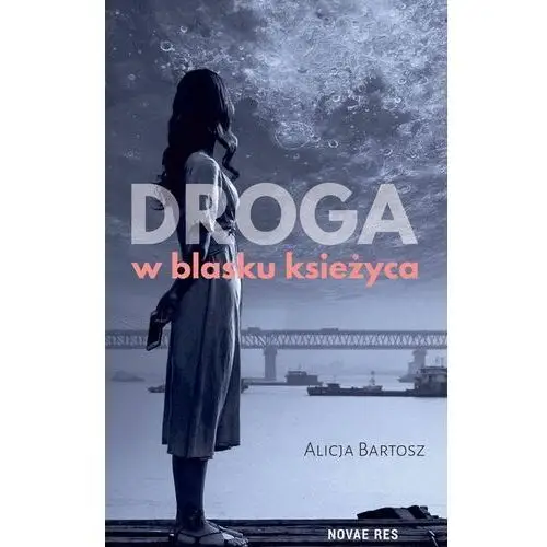 Droga w blasku księżyca