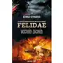 Felidae wschód-zachód Sklep on-line