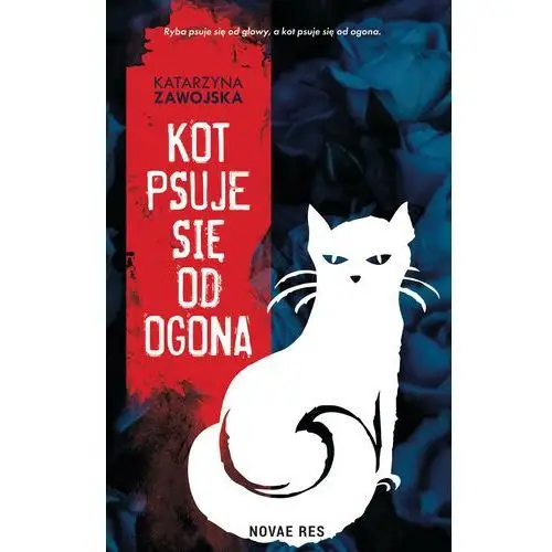 Kot psuje się od ogona Novae res