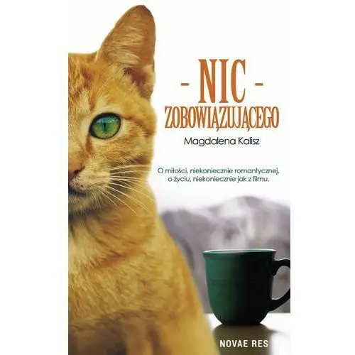 Nic zobowiązującego Novae res