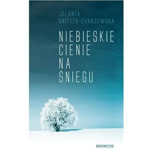 Niebieskie cienie na śniegu