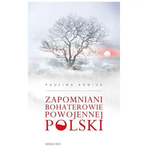 Zapomniani bohaterowie powojennej polski Novae res