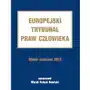 Nowicki marek antoni Europejski trybunał praw człowieka. wybór orzeczeń 2012 Sklep on-line