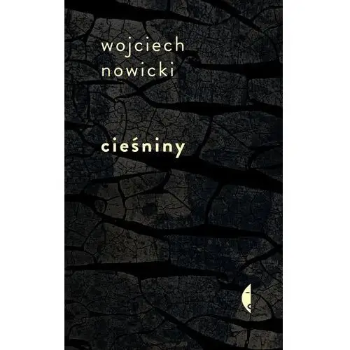 Cieśniny - Wojciech Nowicki