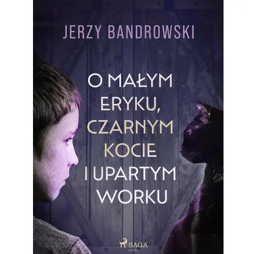 O małym Eryku, czarnym kocie i upartym worku