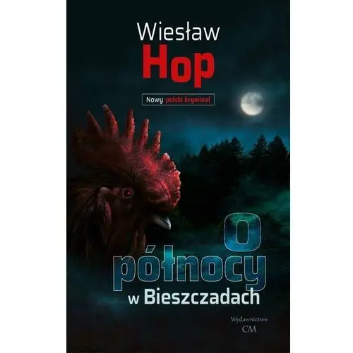 O północy w Bieszczadach