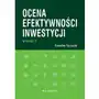 Ocena efektywności inwestycji Sklep on-line