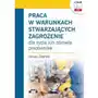 Praca w warunkach stwarzających zagrożenie dla życia lub zdrowia pracownika (e-book) Sklep on-line