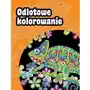 Odlotowe kolorowanie Sklep on-line