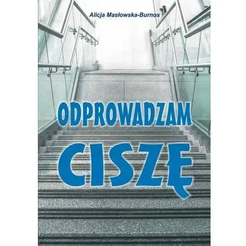 Odprowadzam ciszę