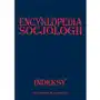 Oficyna naukowa Encyklopedia socjologii indeksy. - baltaziuk maria, pajestka - kojder ewa (redakcja) - książka Sklep on-line