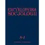 Encyklopedia socjologii T.1 A-J Sklep on-line