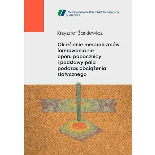 Określenie mechanizmów formowania się oporu pobocznicy i podstawy pola podczas obciążenia statycznego