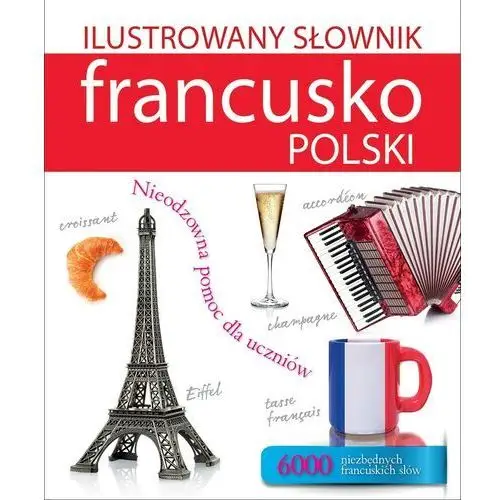 Olesiejuk Ilustrowany słownik francusko-polski