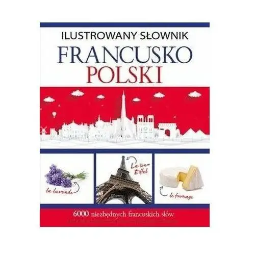 Olesiejuk Ilustrowany słownik francusko-polski - tadeusz woźniak - książka