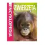 Olesiejuk Mini encyklopedia zwierzęta Sklep on-line