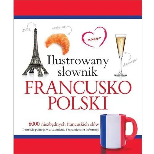 Ilustrowany słownik francusko-polski w.2015 - Tadeusz Woźniak, 169607