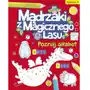 Mądrzaki z Magicznego Lasu. Poznaj alfabet 2 Sklep on-line