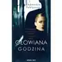 Ołowiana godzina (E-book) Sklep on-line