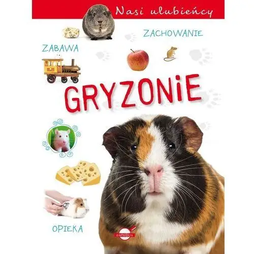 Gryzonie. Nasi ulubieńcy