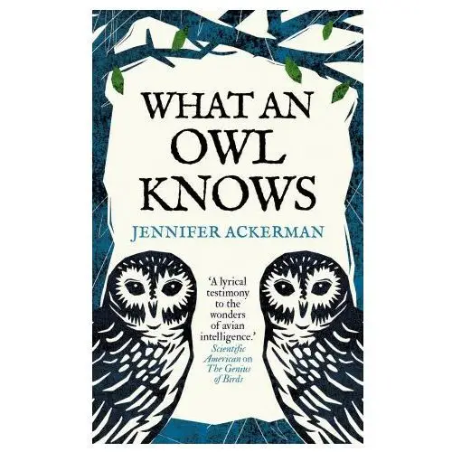 What an Owl Knows