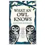 What an Owl Knows Sklep on-line