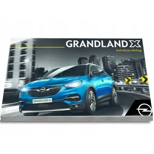 Opel Grandland X 2017-21 Instrukcja Obsługi