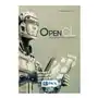 Open CL. Akceleracja GPU w praktyce Sklep on-line