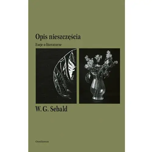 Opis nieszczęścia. Eseje o literaturze