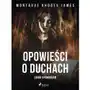 Opowieści o duchach. Zbiór opowiadań Sklep on-line