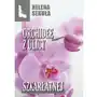 Orchidee z ulicy szkarłatnej Sklep on-line