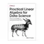 O'reilly media Practical linear algebra for data science Sklep on-line