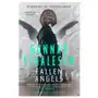 Fallen angels Orenda books Sklep on-line