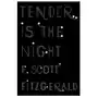 Tender is the Night Sklep on-line