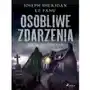 Osobliwe zdarzenia. Zbiór opowiadań Sklep on-line