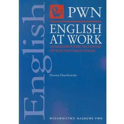 English at work an english polish dictionary,100KS (222529)