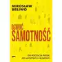 Oswoić samotność. Od poczucia pustki do akceptacji i bliskości Sklep on-line