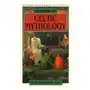 Dictionary of Celtic Mythology Sklep on-line