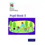 Oxford university press Nelson handwriting: year 3/primary 4: pupil book 3 Sklep on-line