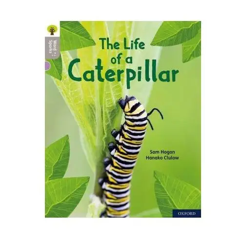 Oxford Reading Tree Word Sparks: Level 1: The Life of a Caterpillar