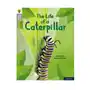 Oxford Reading Tree Word Sparks: Level 1: The Life of a Caterpillar Sklep on-line