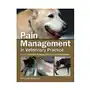 Pain management in veterinary practice Iowa state university press Sklep on-line