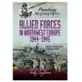 Painting Wargaming Figures - Allied Forces in Northwest Europe, 1944-45 Singleton, Andy Sklep on-line