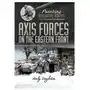 Painting Wargaming Figures: Axis Forces on the Eastern Front Singleton, Andy Sklep on-line