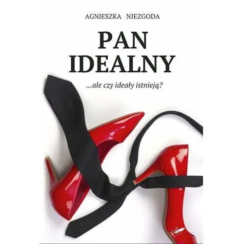 Pan Idealny