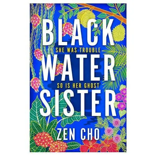 Pan macmillan Black water sister