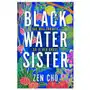 Pan macmillan Black water sister Sklep on-line